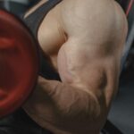 Qual Treino Combina Com Bíceps: Divisões Científicas Para Máxima Hipertrofia